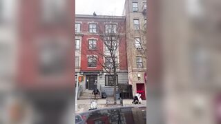 End of Life Jump shows Woman Land on the Concrete Steps (NYC)