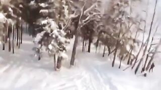 A Drone captures a Grizzly Bear Chasing a Person