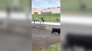 Taunting a Bull then Running Away like this? She has no Shot