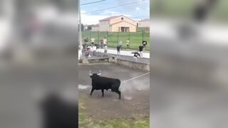 Taunting a Bull then Running Away like this? She has no Shot