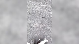 (See Context) Good Man stops to Rescue Kitten in the Road and gets a Surprise.....