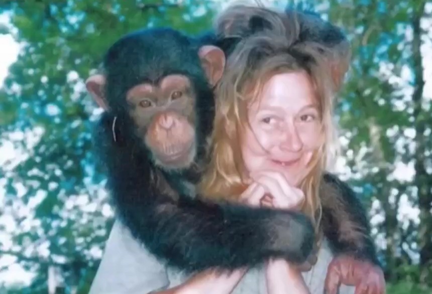 horrific 911 call Sandra Herold made after her 200-pound pet chimpanzee attacked her