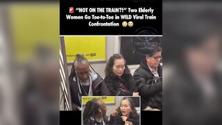 Two elderly women go toe to toe in wild viral train confrontation