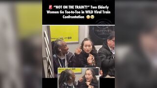 Two elderly women go toe to toe in wild viral train confrontation