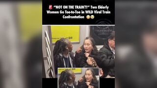 Two elderly women go toe to toe in wild viral train confrontation