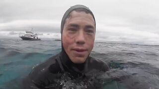 A turtle is going viral after doing a drive-by slap to a diver