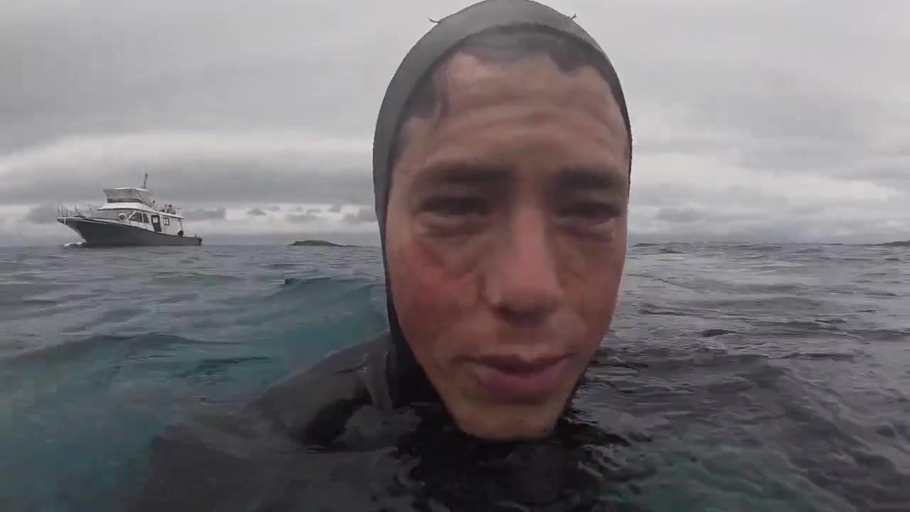 A turtle is going viral after doing a drive-by slap to a diver