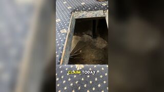 Rep. Tim Moore Reveals Sealed Staircase in Capitol's Lincoln Room
