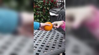 Finger in Dog's Butt PRANK