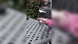 Finger in Dog's Butt PRANK