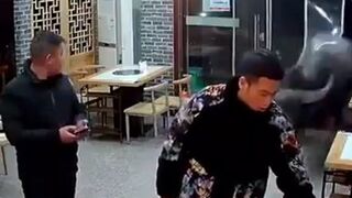 Bull in a China Shop !! Angry Bull interrupts Man having a Beer...