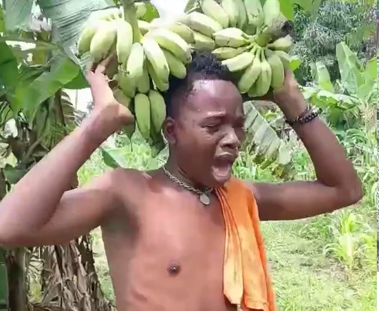 A shocking video circulating online shows a young man who was caught stealing bananas from a farm and restrained in an unusual incident involving a snake.