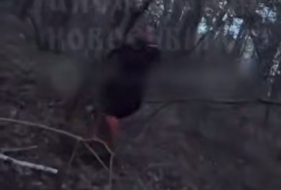Girl Fu*ks a Tree in Novosibirsk: Woman Under the Influence Puts on Bizarre Show with a Tree Right in the Park.