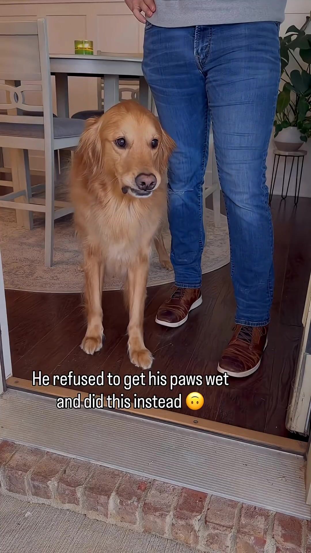 NO MORE PEEING ON THE FLOOR