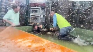 Alligator Attacks Zookeeper during School Field Trip