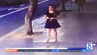 White Woman in Skirt Sexually harassed by Homeless Migrant (See Footage and Report)