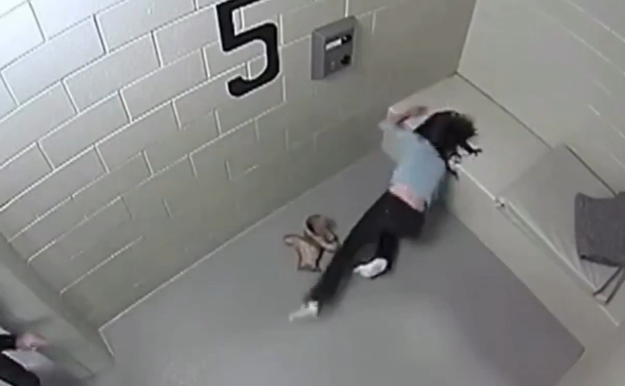 Illinois officer Michael Hart shoved DUI arrestee Cassandra Feuerstein into a cell, smashing her face on concrete.