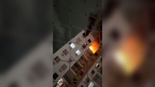 Shocking Sad Video shows Man went back into Fire to Save his Dog..Never Came Out (See News in Description)