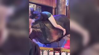 Girl so Drunk on Mechanical Bull She can't Keep Her Short Skirt Up and Twerks to Top it Off (Wait for it)