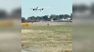 Qatar Airbus hit with strong winds landing at Atlanta airport