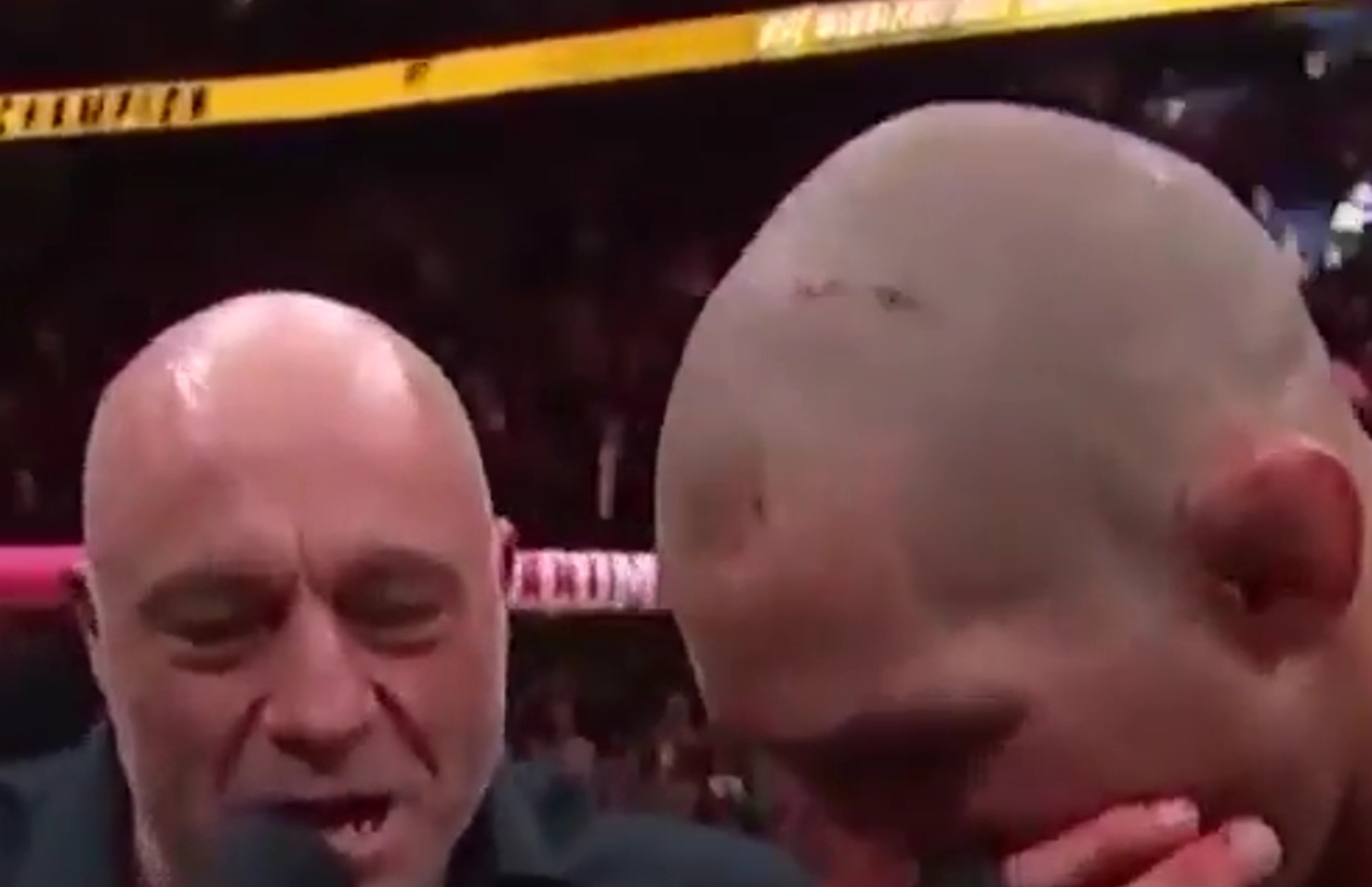 Controversial UFC Champion Sean Strickland says Sorry to all he offended