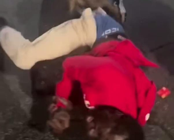 Man brutally attacked by Dog