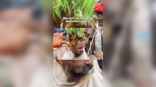 I think I'm gonna Try It...Man Growing Rice Food on his Head