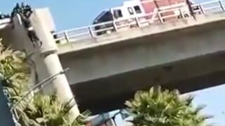 Woman Falls from Overpass despite Rescue Efforts (Info in Description)