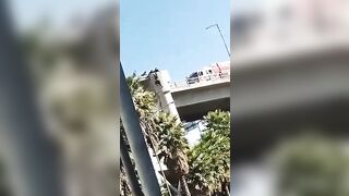 Woman Falls from Overpass despite Rescue Efforts (Info in Description)