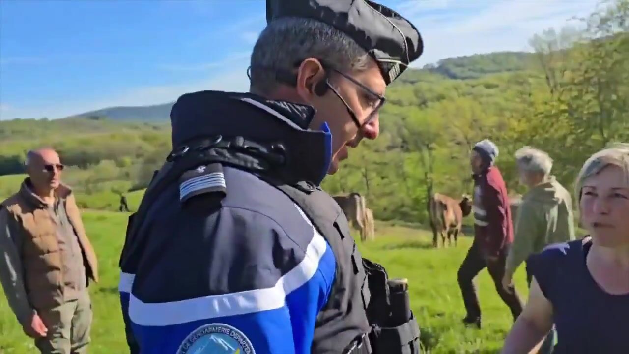 WOW: Police Use Drones to Spot "Hidden Cattle" Whose Owners (Farmers) Refused to Vaccinate.