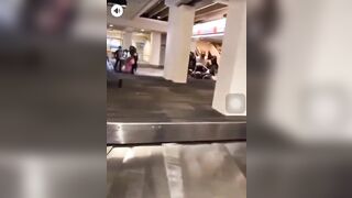 White Couple gets Jumped by Black Mob ON the Baggage Claim Belt (Watch Full Video it gets Worse)