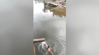 Man Claims to Have Superhuman Powers, Gets in Croc infested Waters.... Finds Out, He Does not Have Powers.