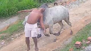 Bull Attack Caught On CCTV