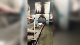 HOLY CRAP: Dead Body Lifts its Arm During Cremation