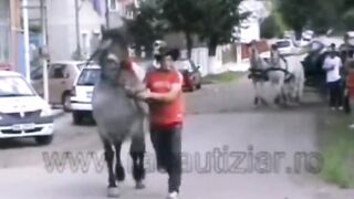 When Horses Just want to be Horses