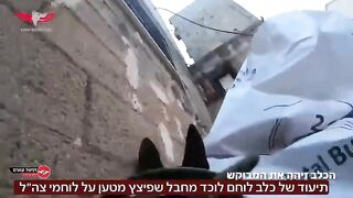 Israeli K-9 Terrorizes a Hamas Fighter who Planted an Explosive Device