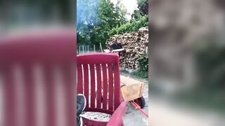 Drunk man bringing wood fall into fire