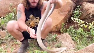 Man thinks he is Steve Irwin gets Bit by a King Cobra