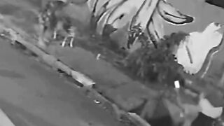 In Brazil, a young woman fell into a manhole after the cover collapsed