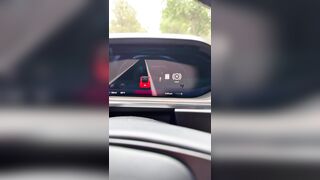Tesla’s sensor system detected something wierd