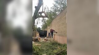 This Guy Fuck*d with the Wrong Tree...Watch