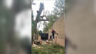 This Guy Fuck*d with the Wrong Tree...Watch