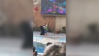Fed up Circus Bear Attacks his Trainer During Live Performance.