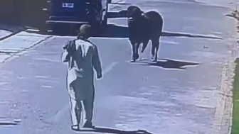 WCGW When You Try To Hug A Bull