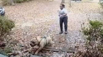 Woman saves herself and her dog after a vicious pit bull suddenly attacked them durin