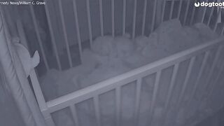 A Ghost Arm Reaches into Baby's Crib!!