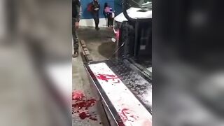 Disgusting: Man's Brain literally Splats out of his Head onto the Concrete (Graphic)