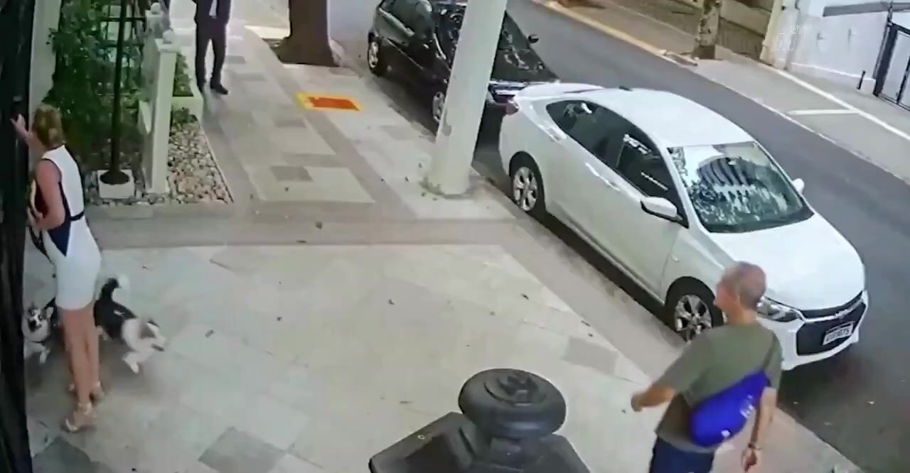 Scumbag Convicted of Animal Abuse after Surveillance Footage Showed him Kicking two Dogs in São Paulo.