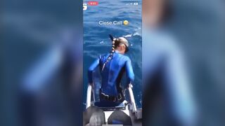 Blonde Diver almost Jumps into Shark's Mouth