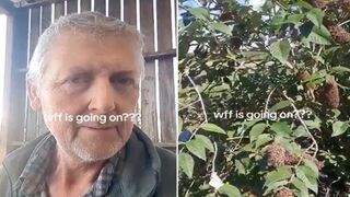 “I’ve grown crops for DECADES… this year it just STOPPED.” - No bees. No butterflies. No birds.
